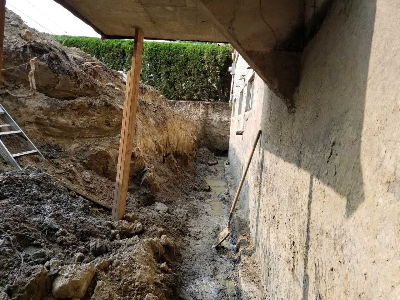 Drain français #137 Drain français #137