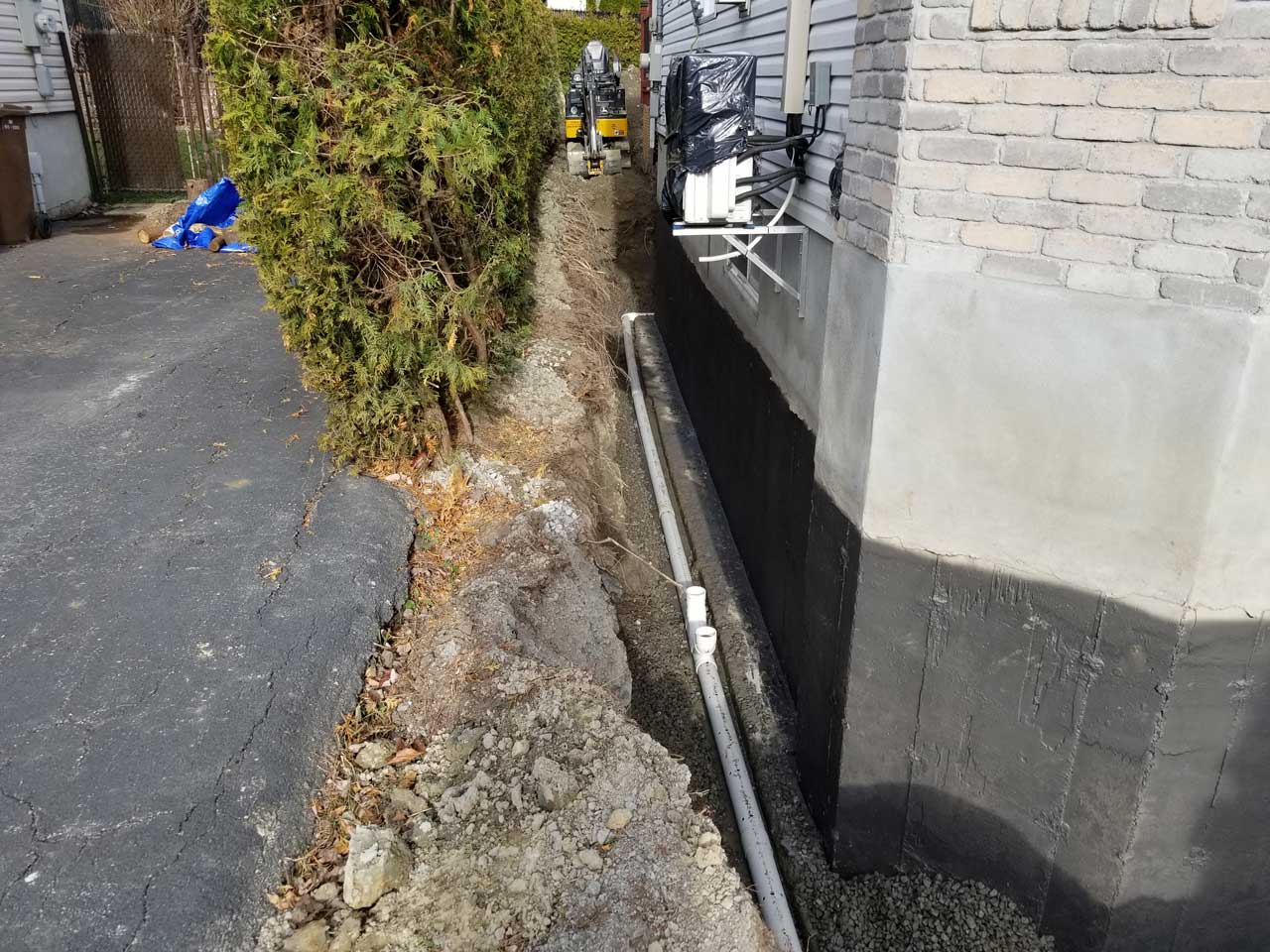 Drain français #220 Drain français #220