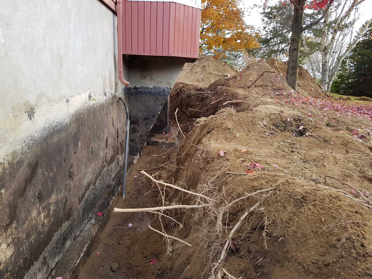 Drain français #23 Drain français #23