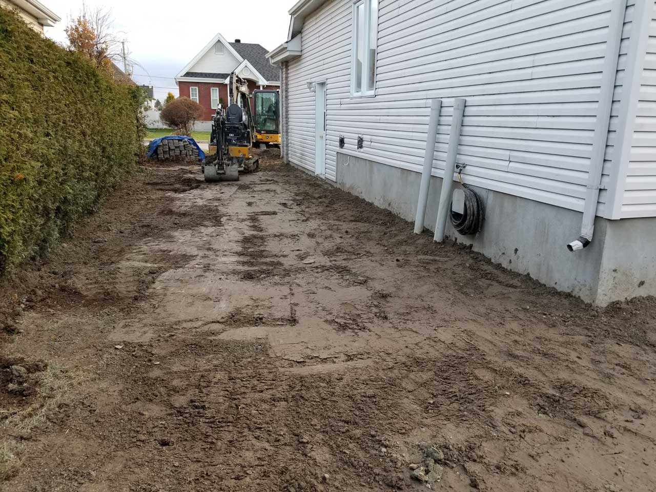 Drain français #231 Drain français #231