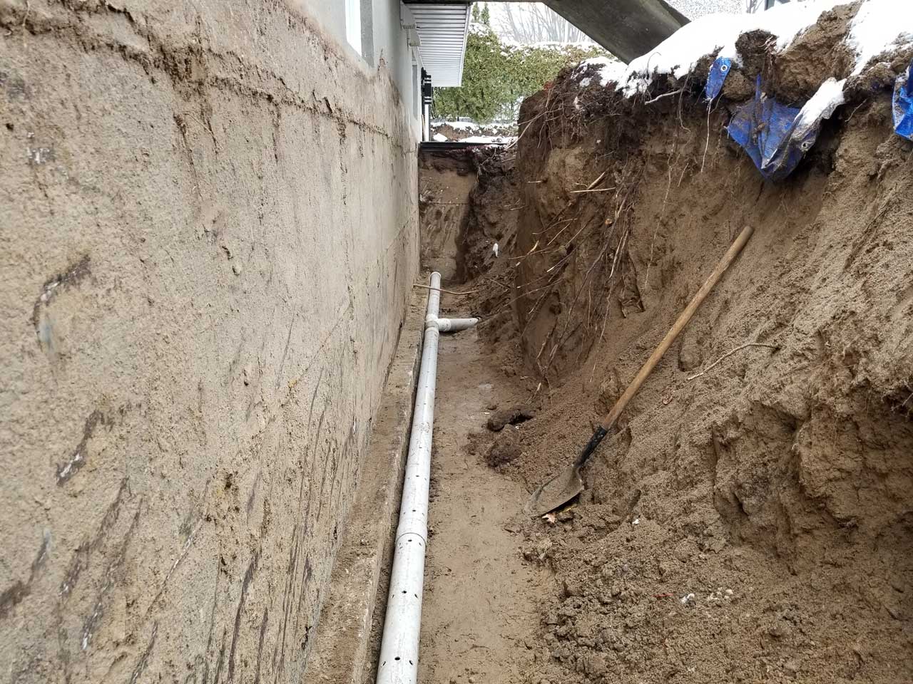 Drain français #239 Drain français #239