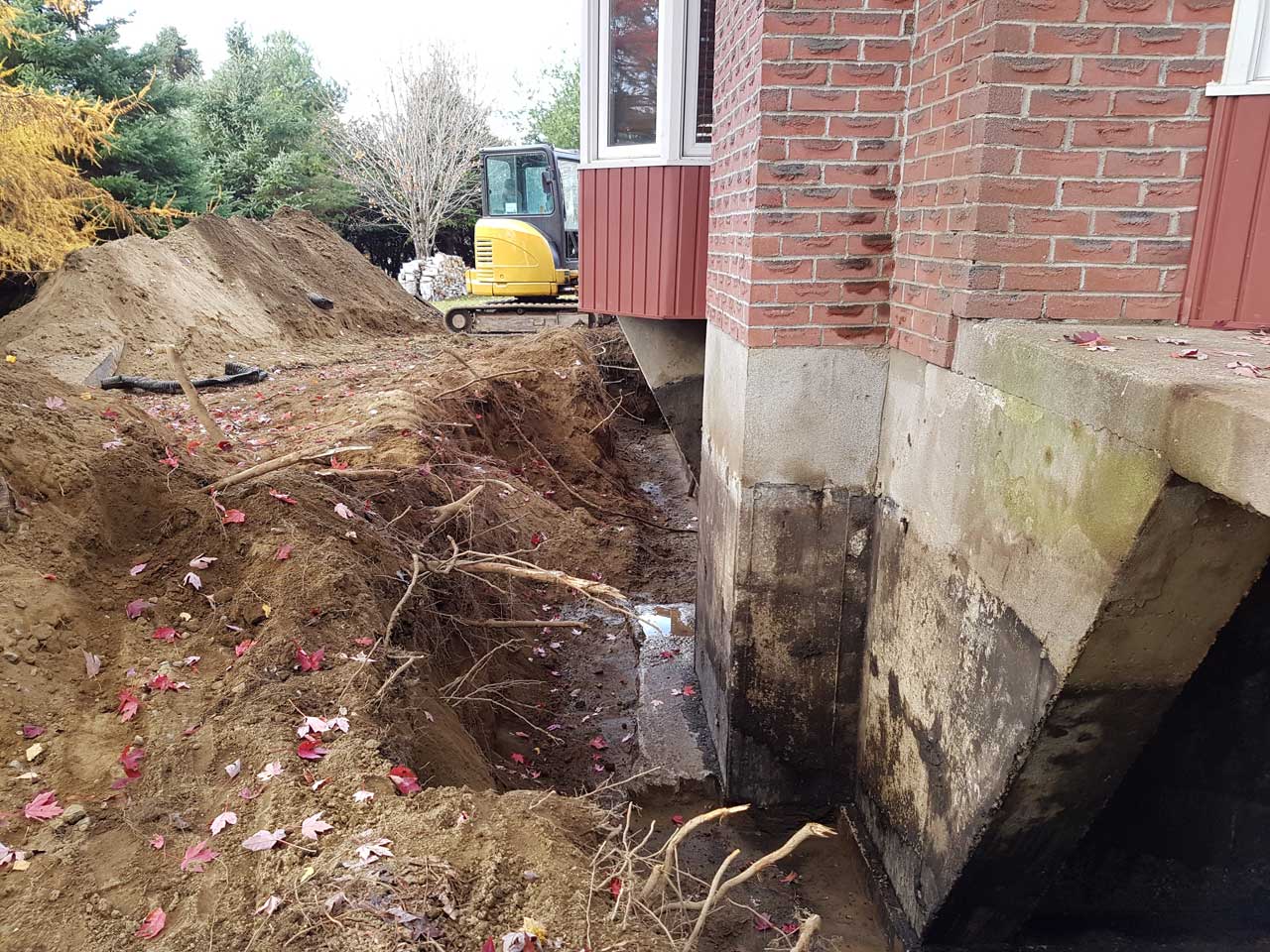 Drain français #24 Drain français #24