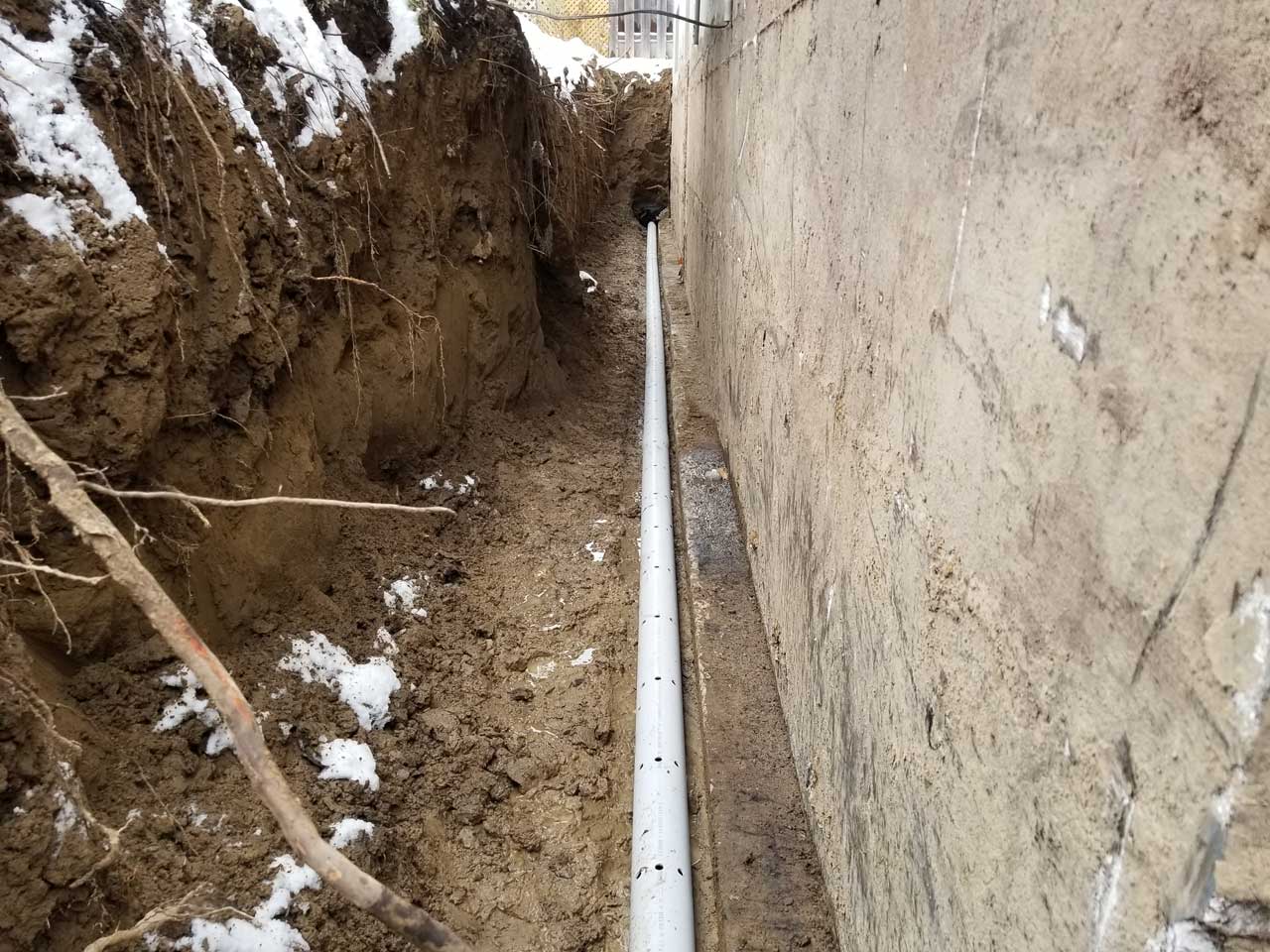 Drain français #241 Drain français #241