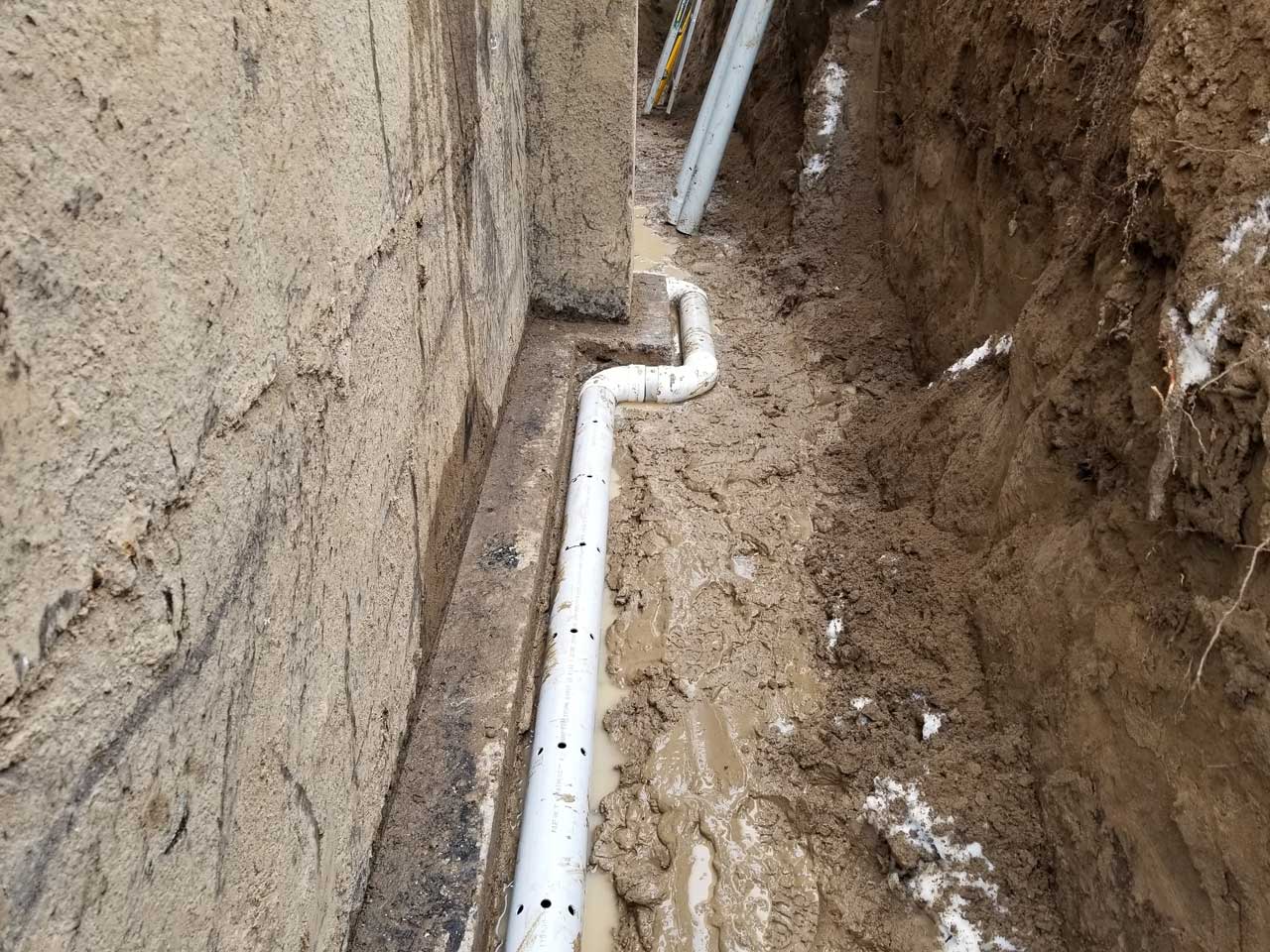 Drain français #242 Drain français #242