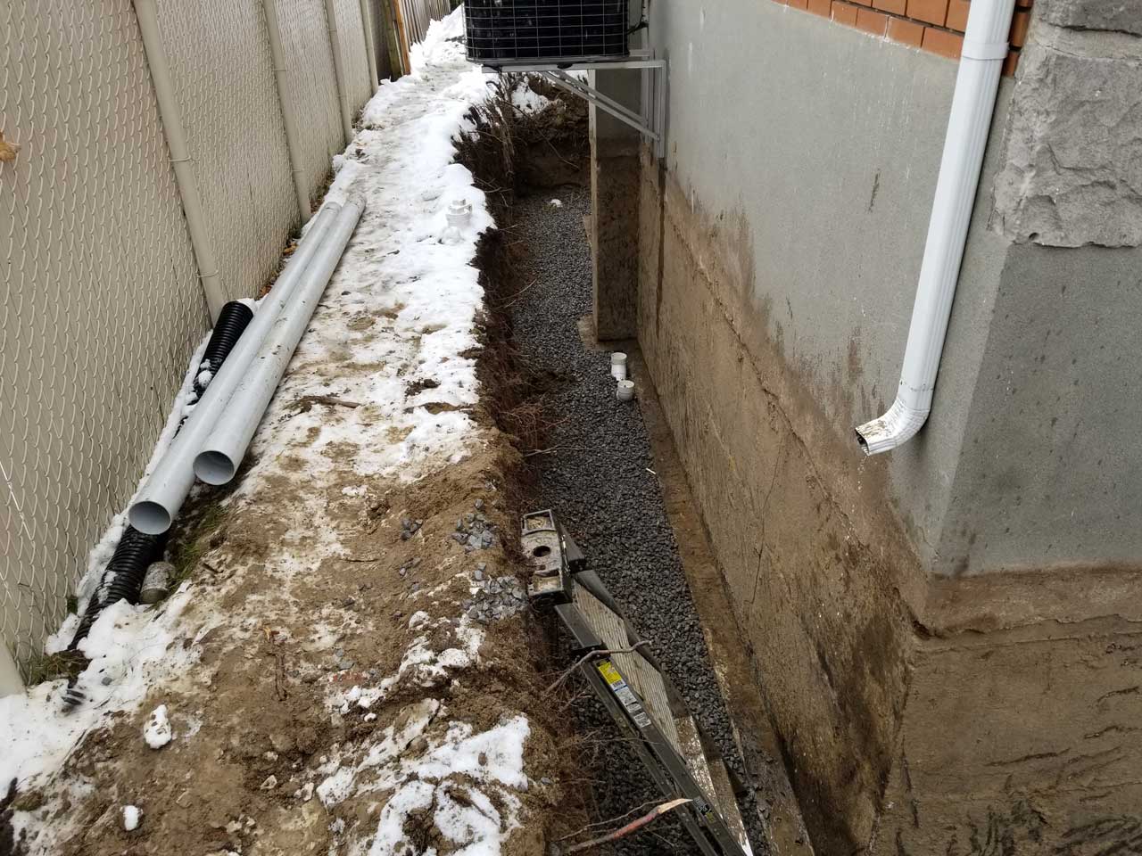 Drain français #244 Drain français #244