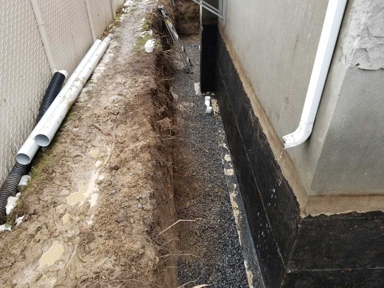 Drain français #247 Drain français #247