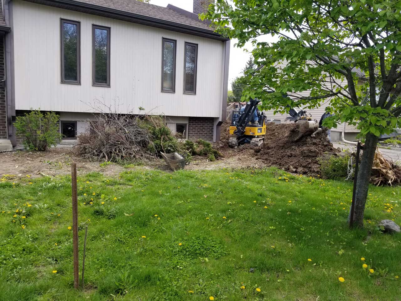 Drain français #266 Drain français #266