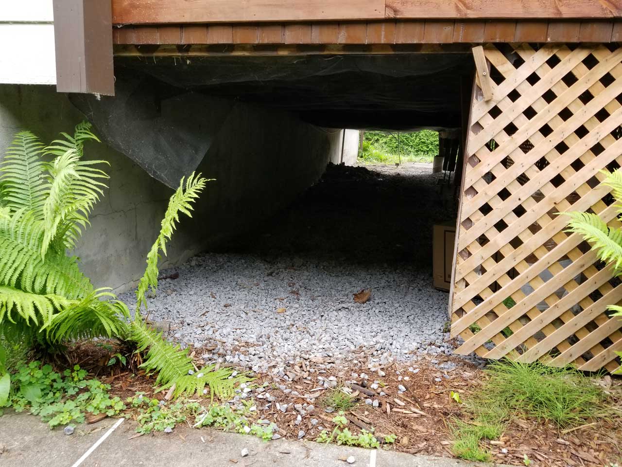 Drain français #321 Drain français #321