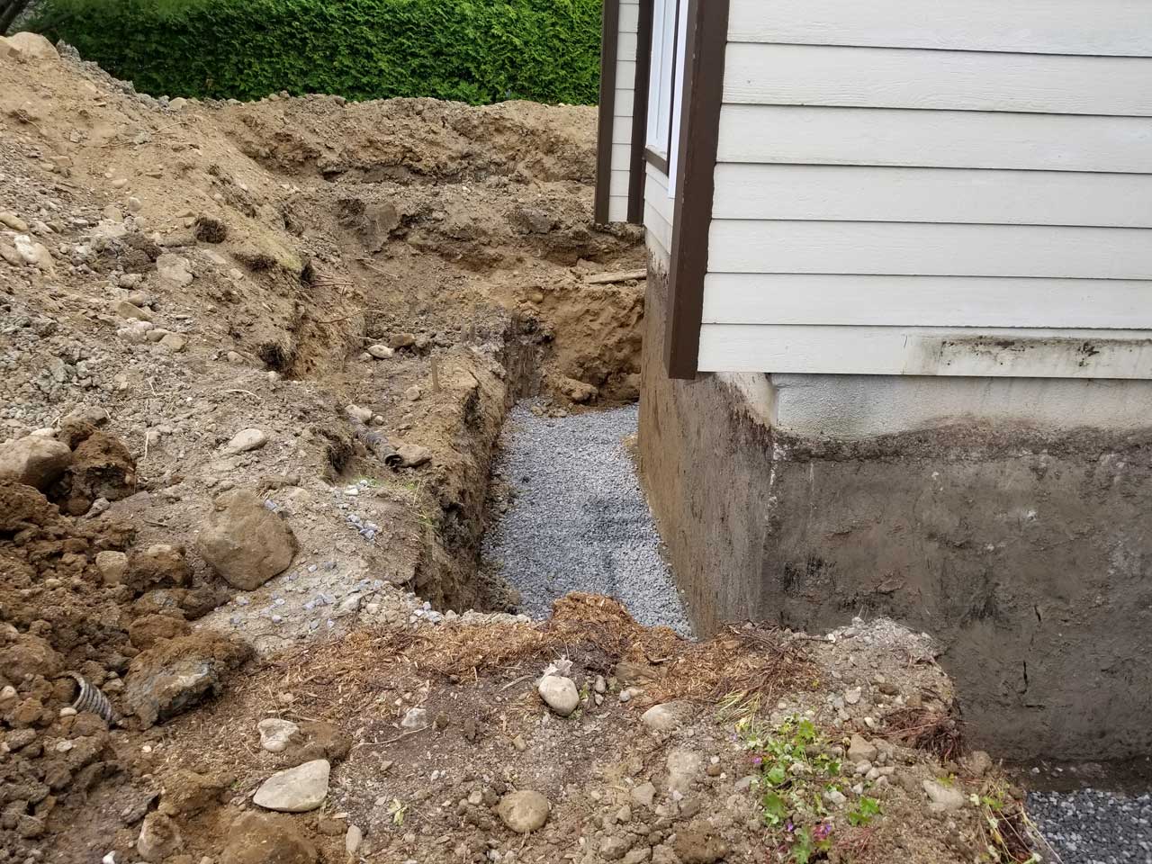 Drain français #338 Drain français #338