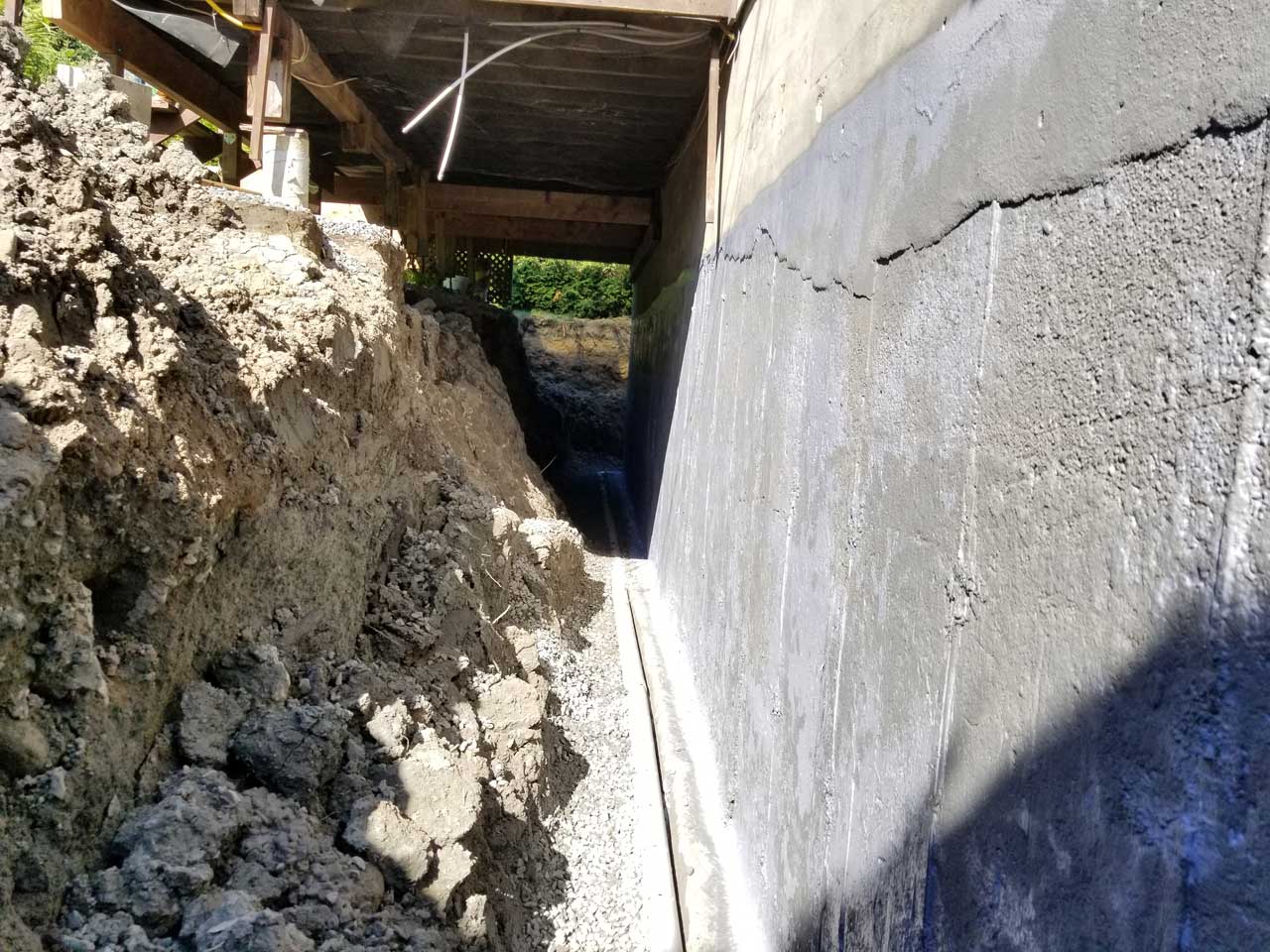 Drain français #341 Drain français #341