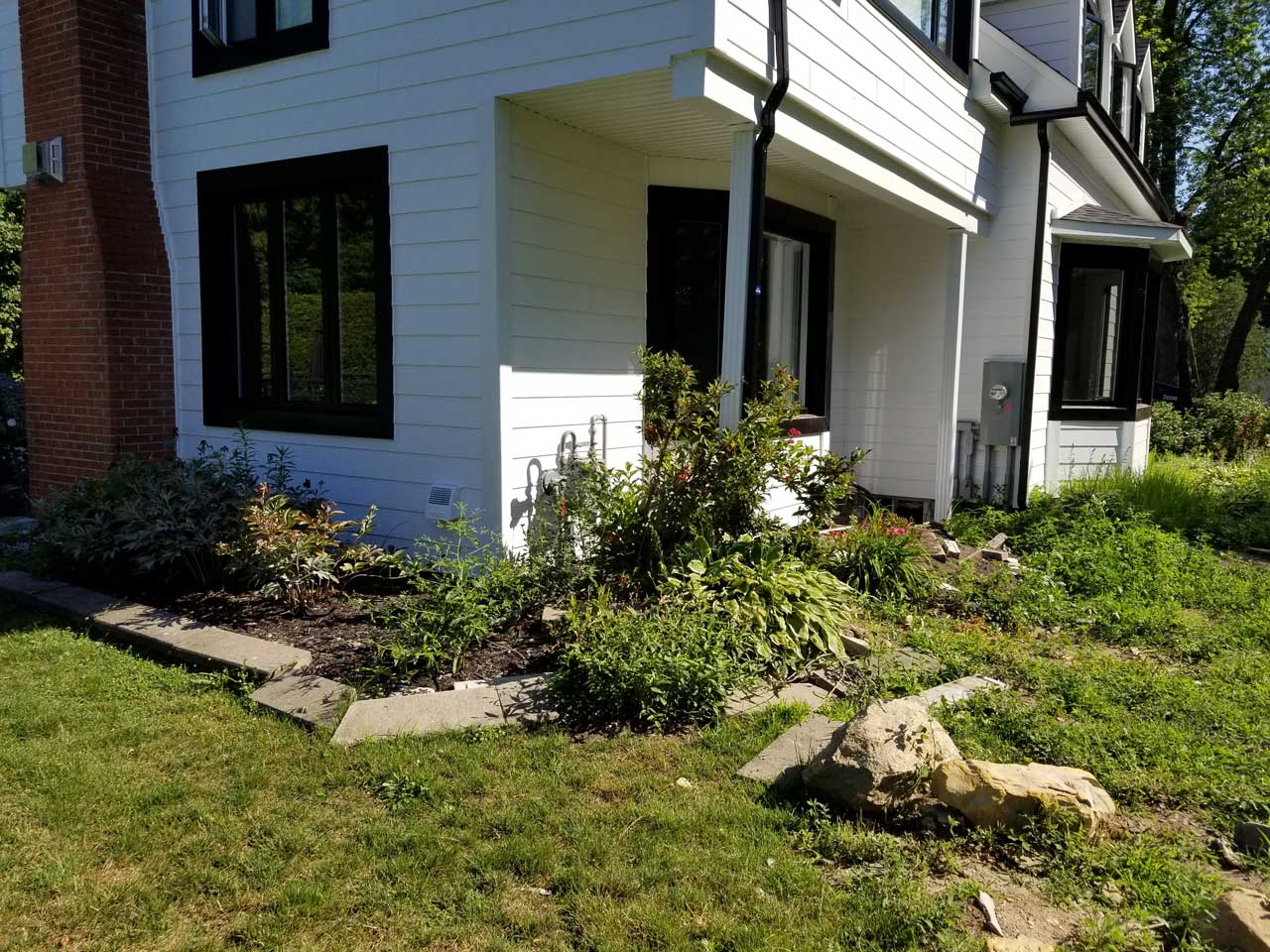 Drain français #365 Drain français #365