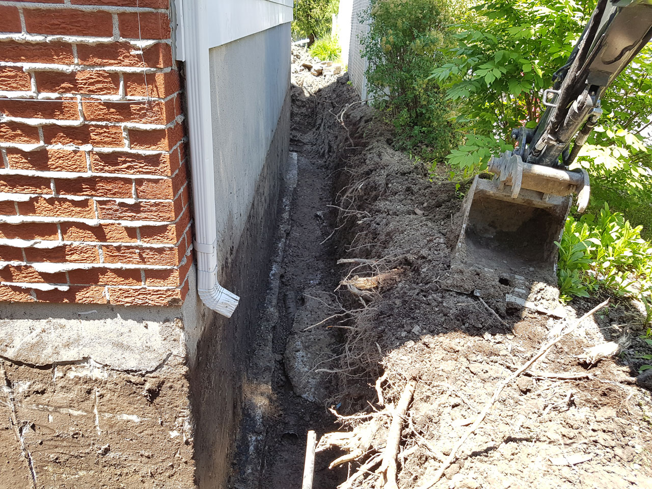 Drain français #80 Drain français #80