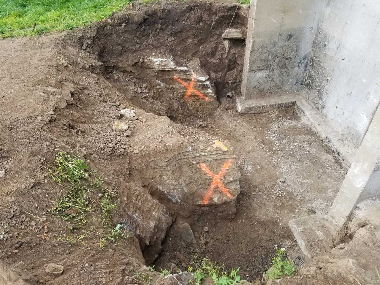 Excavation #54