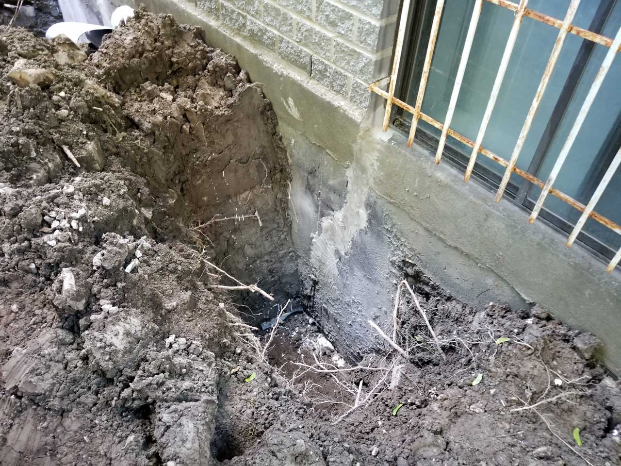 Fissure #11 Fissure #11