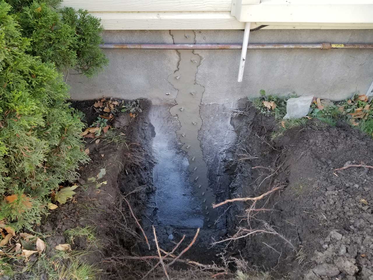 Fissure #24 Fissure #24