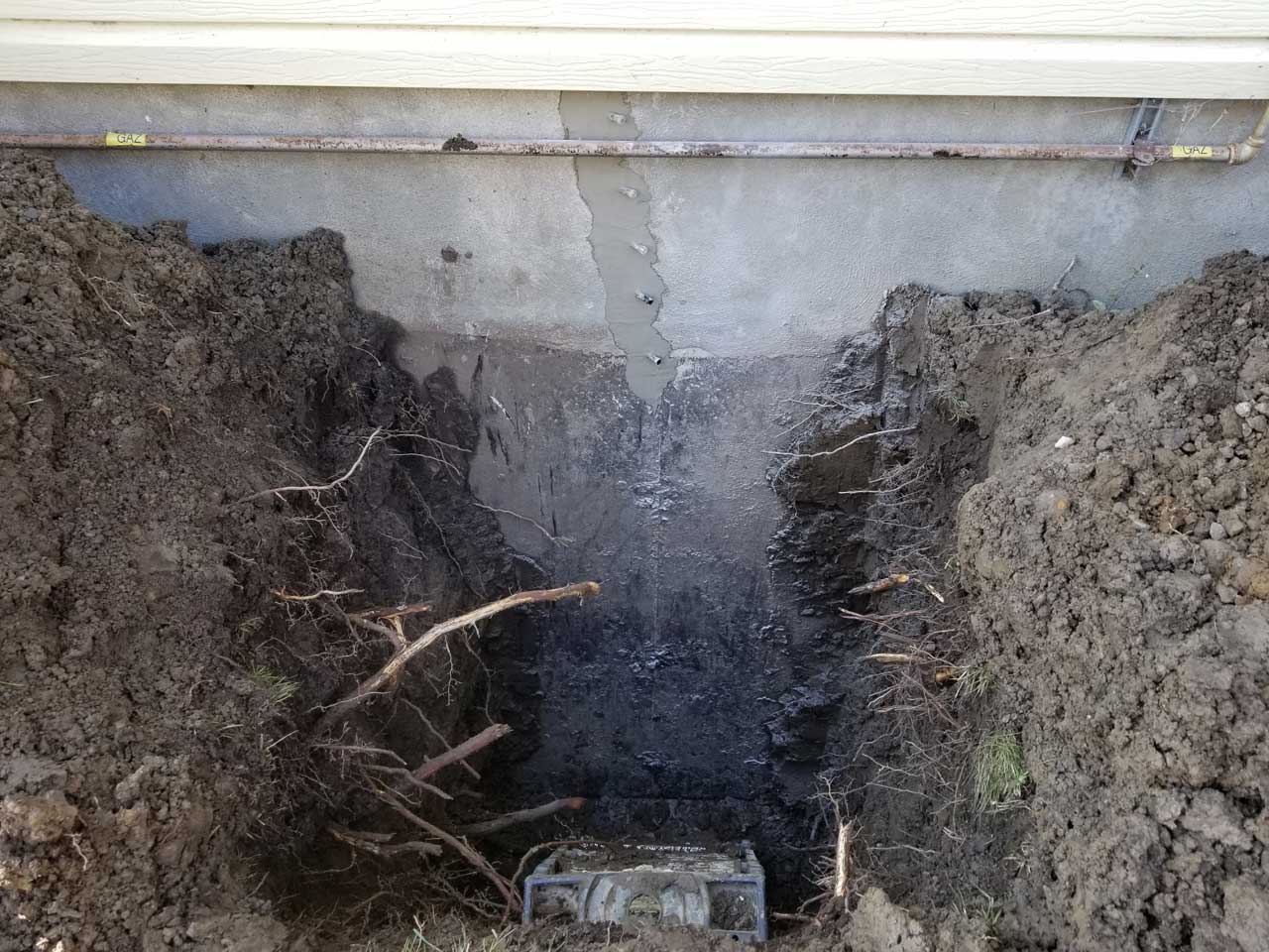 Fissure #25 Fissure #25