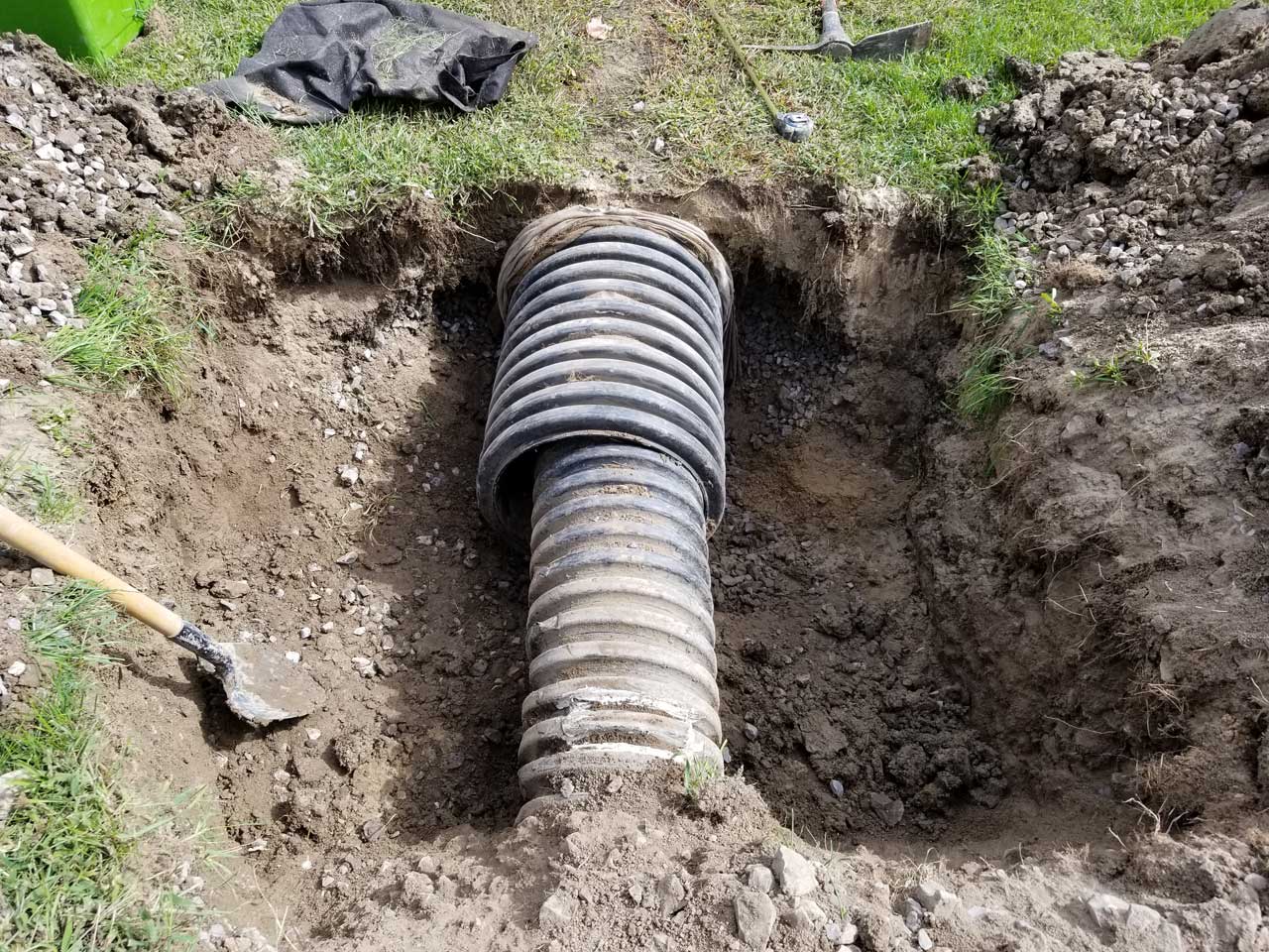 Ponceau #1 Ponceau #1