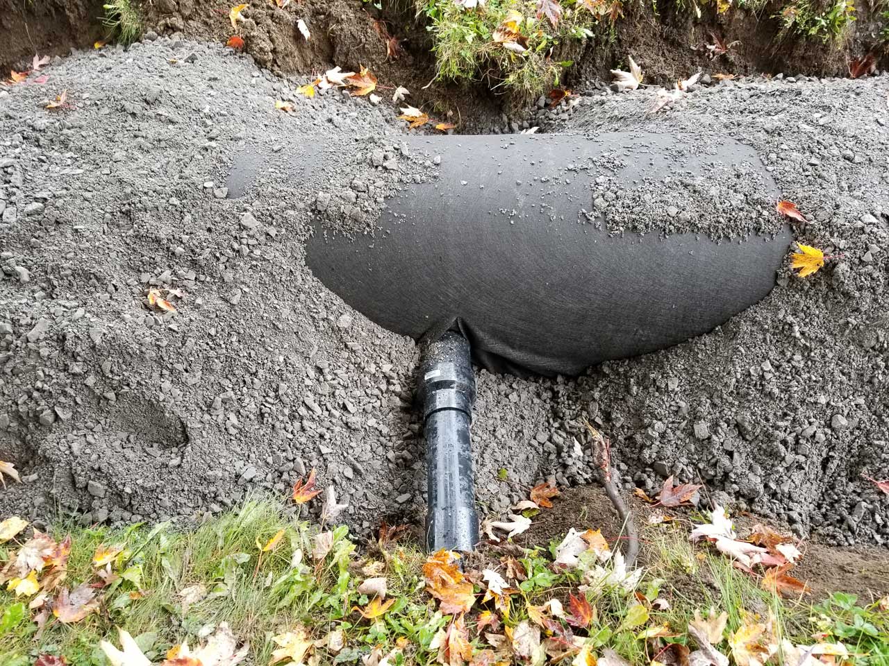 Ponceau #10 Ponceau #10