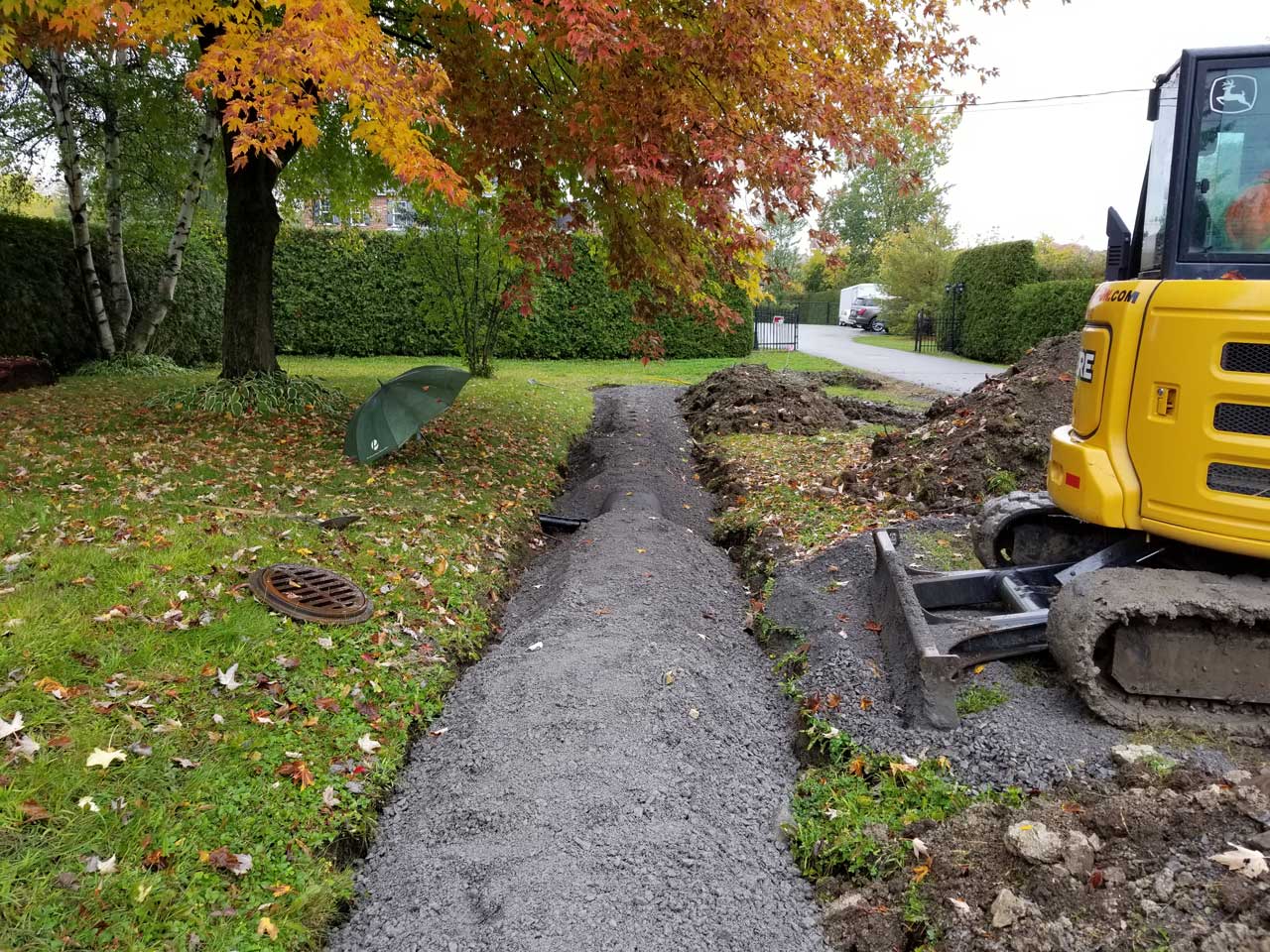 Ponceau #11 Ponceau #11