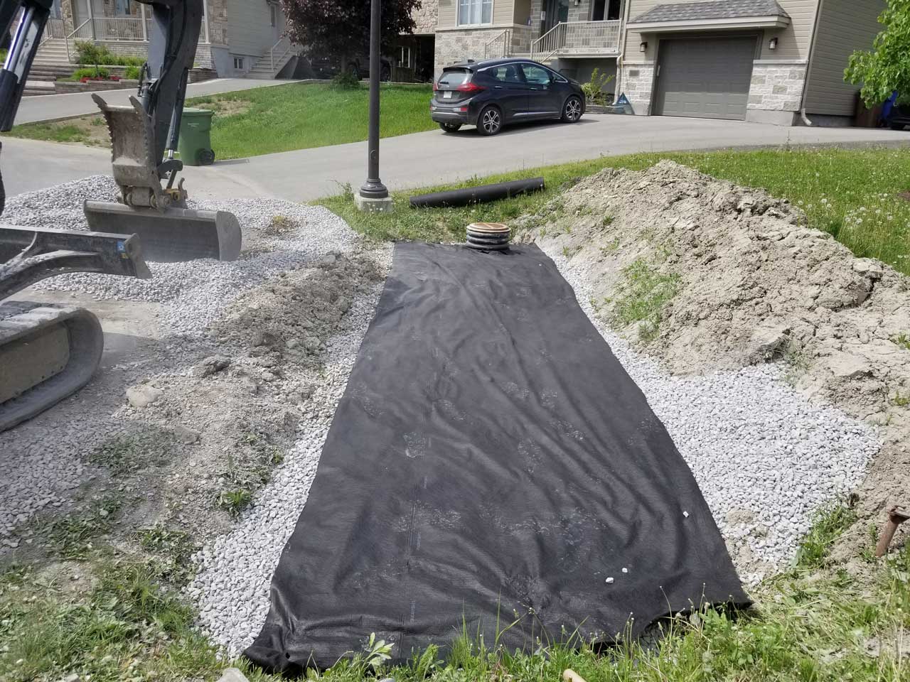 Ponceau #16 Ponceau #16