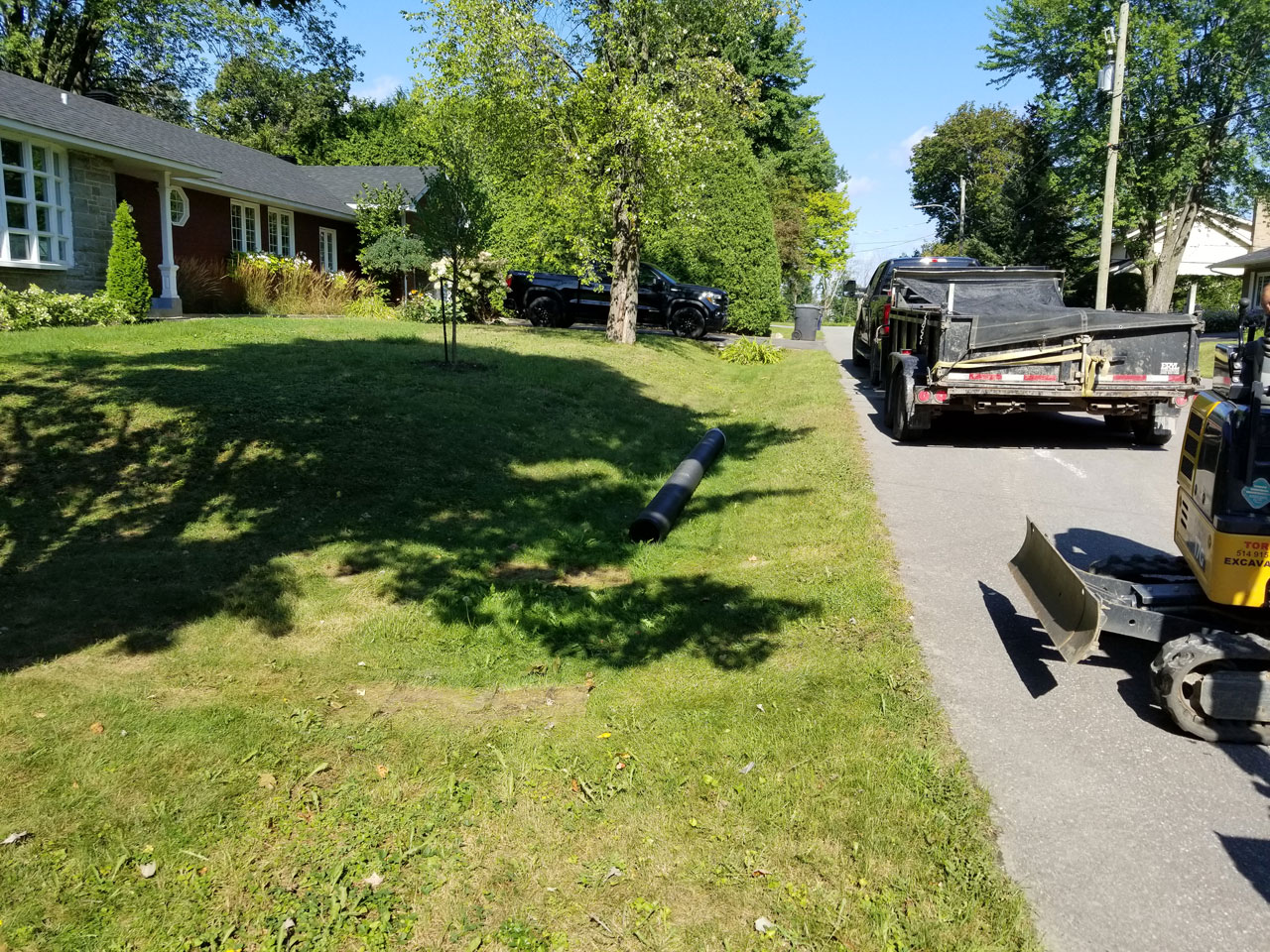 Ponceau #17 Ponceau #17