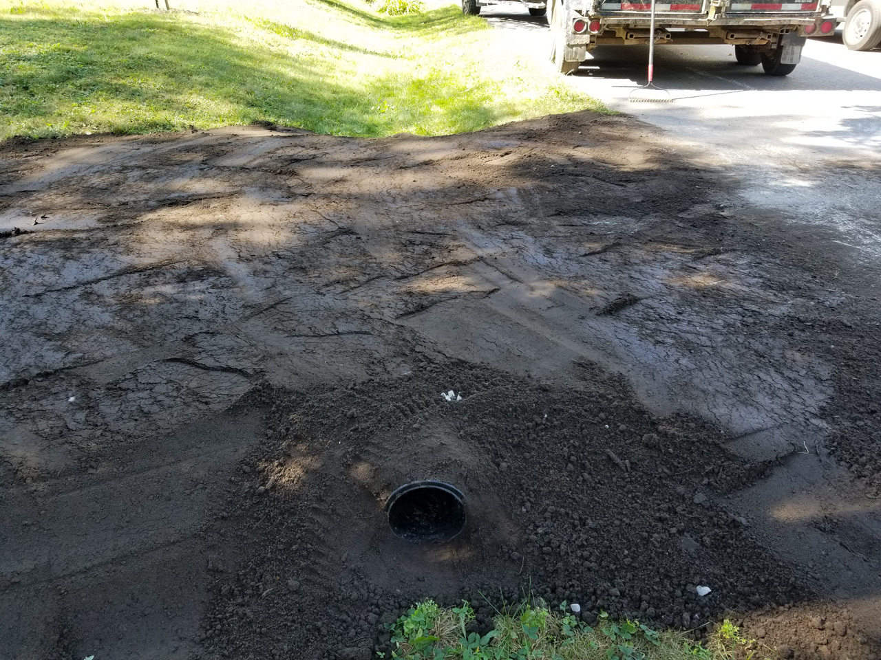 Ponceau #19 Ponceau #19