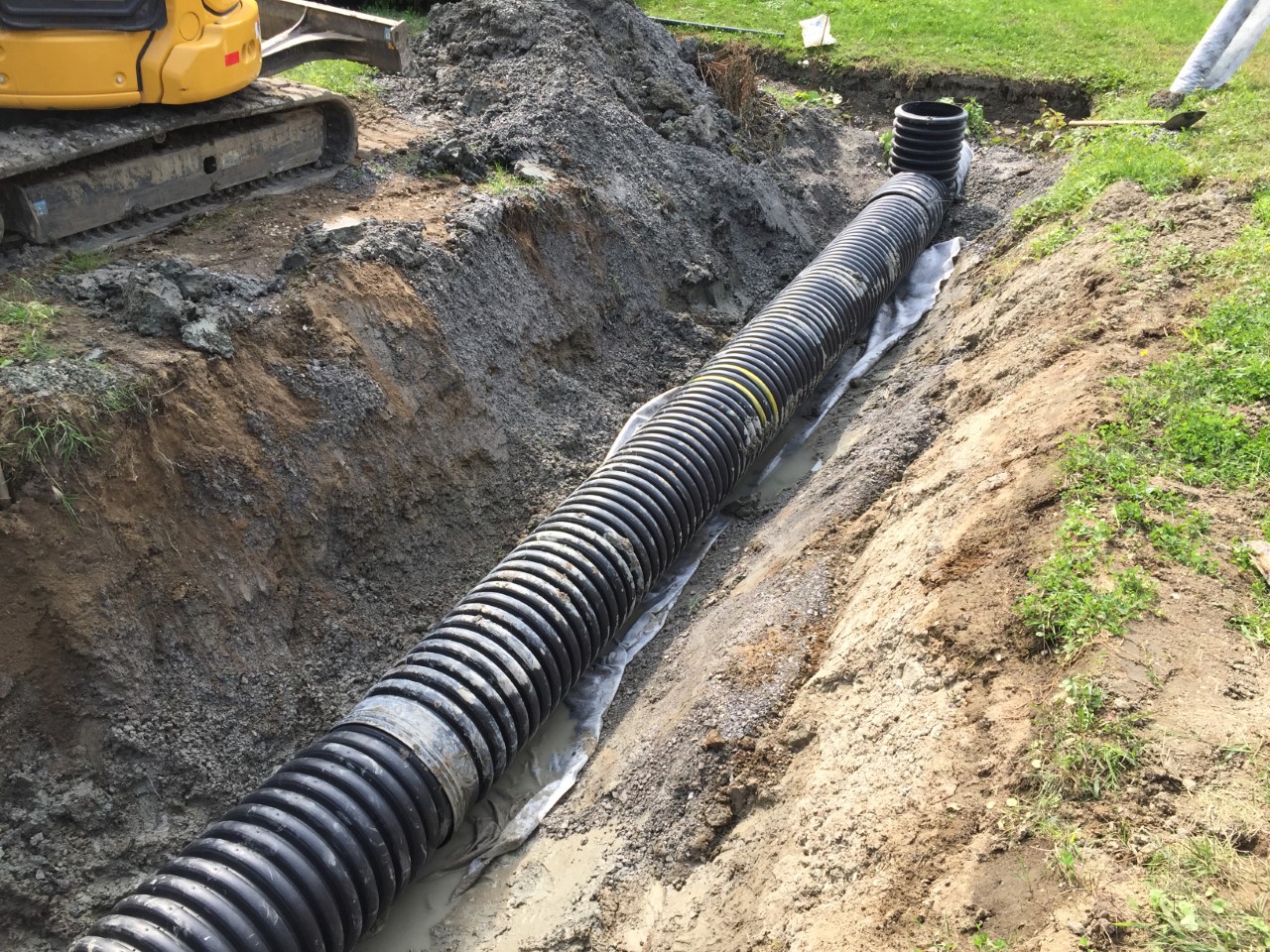 Ponceau #20 Ponceau #20