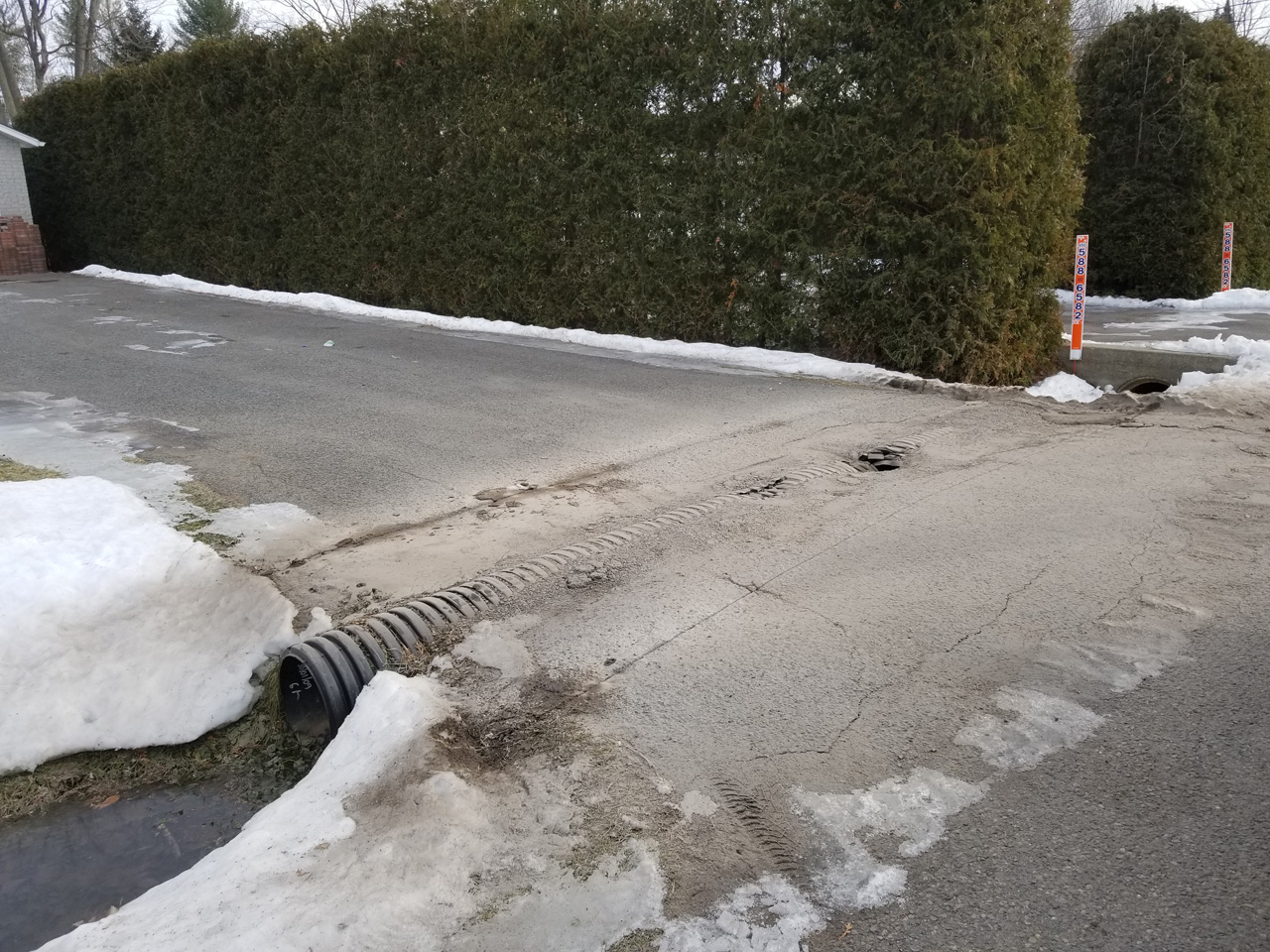 Ponceau #22 Ponceau #22