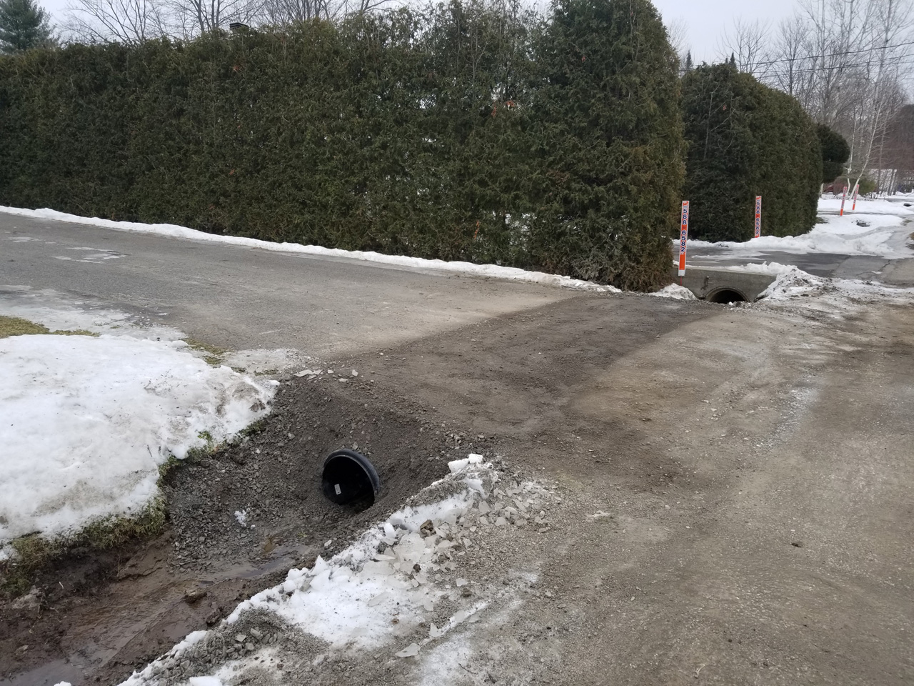 Ponceau #26 Ponceau #26