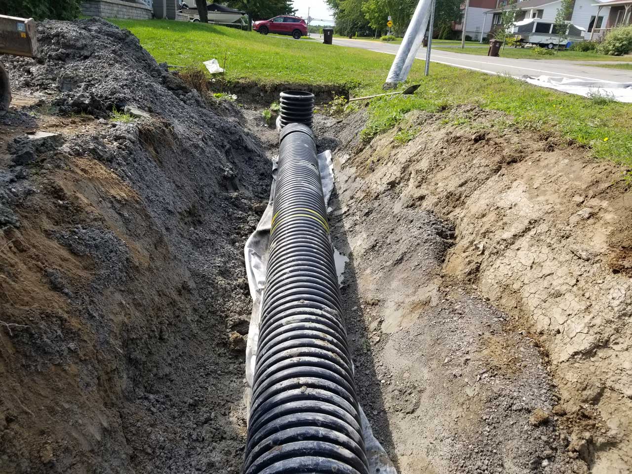 Ponceau #4 Ponceau #4