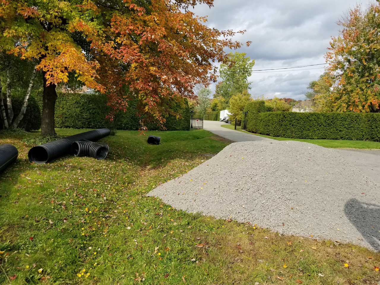 Ponceau #7 Ponceau #7