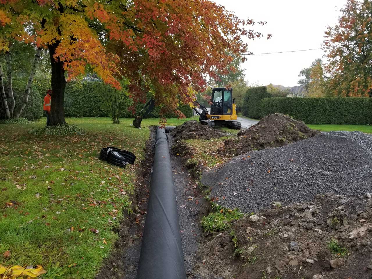 Ponceau #8 Ponceau #8